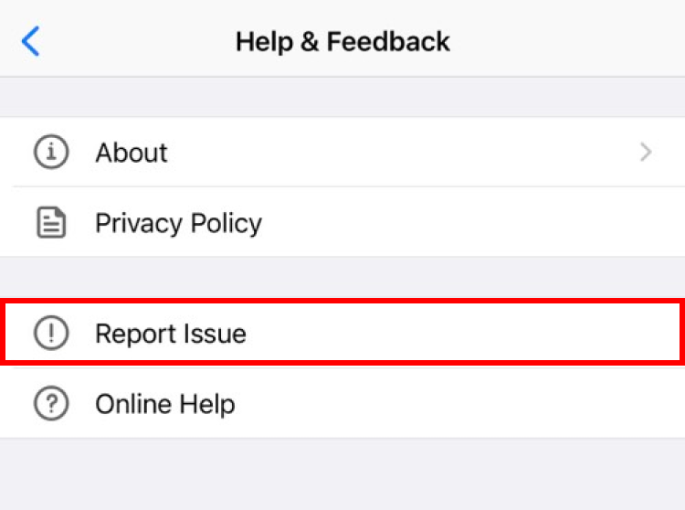 Reporting an Issue
